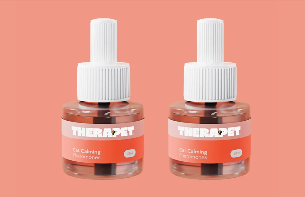 Style Meets Serenity for Pets